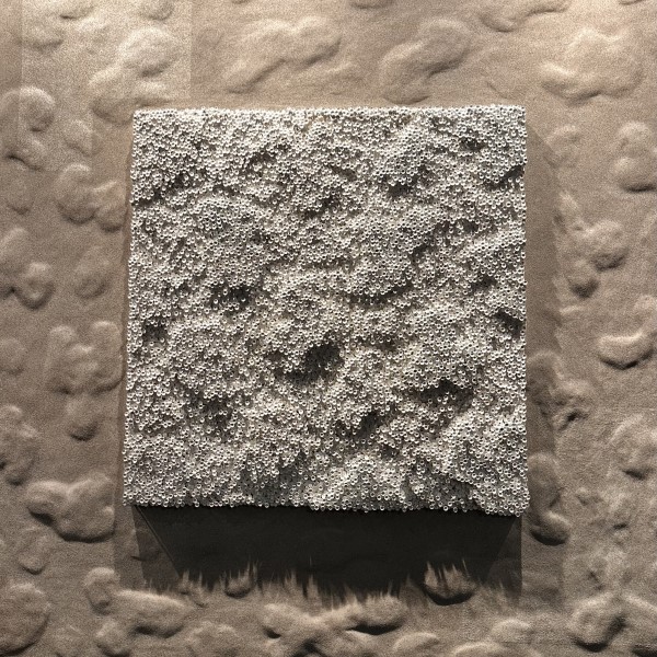 Elevated Perspectives